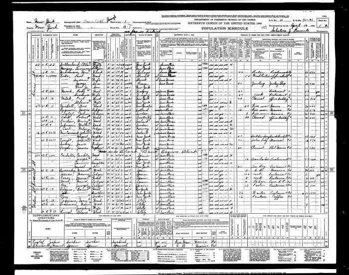 1940%20United%20States%20Federal%20Census%20for%20Stefania%20Mitak