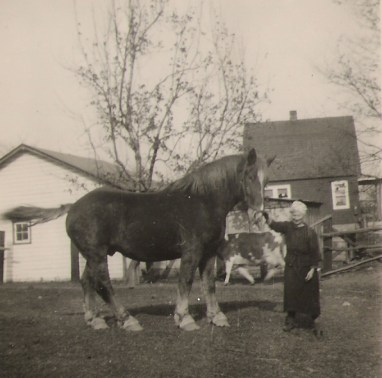 Zofia Szczerba Mirota and her favorite draft horse, Big Jake. Circa 1944. Copyright Genealogy Sisters.