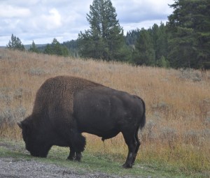 Colorado Wyoming 089