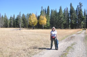 Colorado Wyoming 195