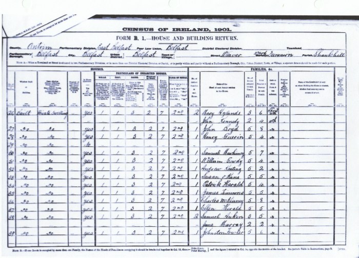 Source: http://www.census.nationalarchives.ie/search/