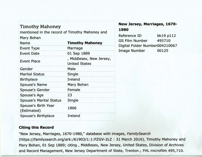 New Jersey, Marriages, 1670-1980," database with images, FamilySearch (https://familysearch.org/ark:/61903/1:1:FZGV-2LZ : 31 March 2016), Timothy Mahoney and Mary Bohan, 01 Sep 1889; citing , Middlesex, New Jersey, United States, Division of Archives and Record Management, New Jersey Department of State, Trenton.; FHL microfilm 495,710. 